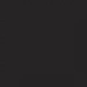 RAL 8022 Black Brown — 400 ml