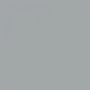 RAL 9006 White Aluminium — 400 ml
