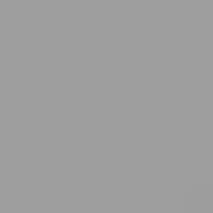 RAL 9022 Pearl Light Grey — 400 ml